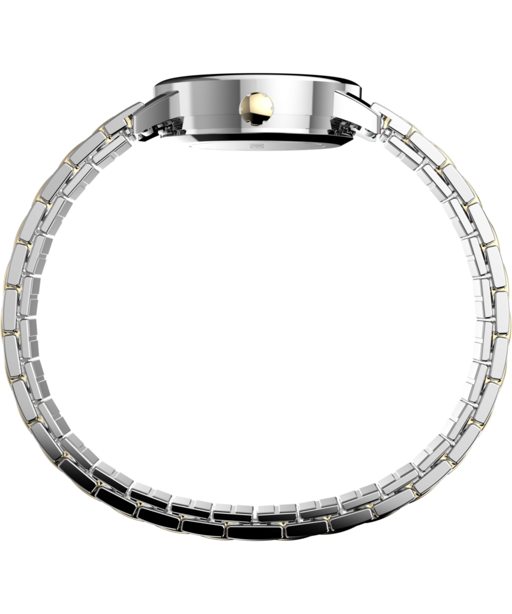 Easy Reader 25mm Expansion Band