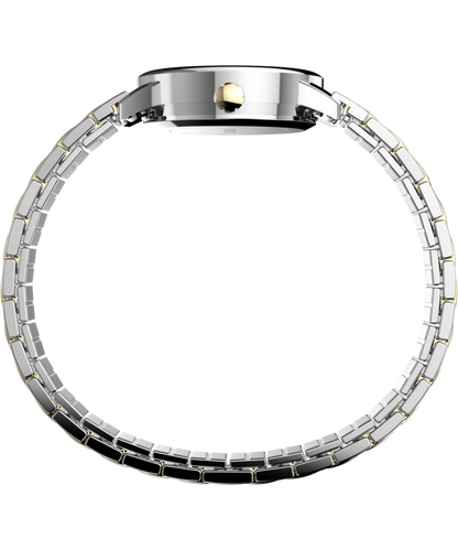 Easy Reader 25mm Expansion Band