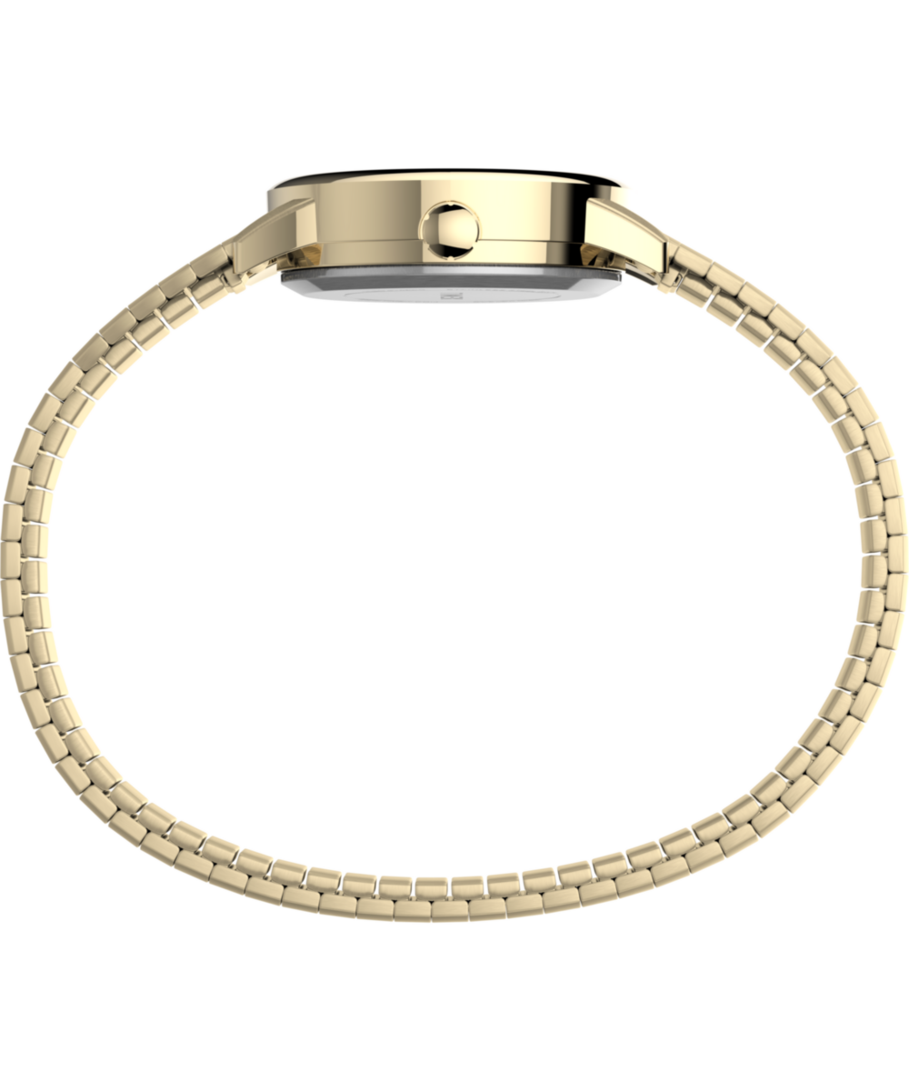 Easy Reader 25mm Expansion Band Watch