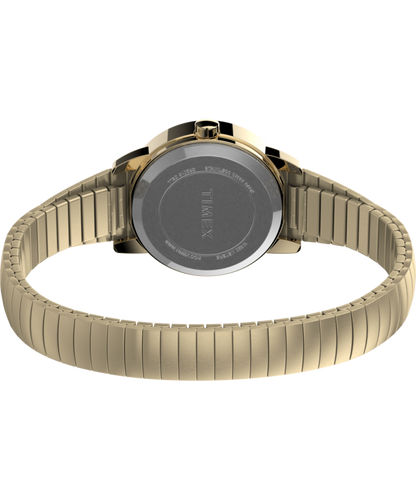 Easy Reader 25mm Expansion Band Watch