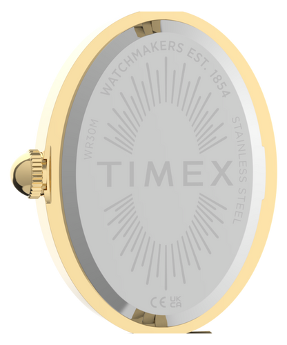 Cavatina Luxe 22mm Stainless Steel Watch
