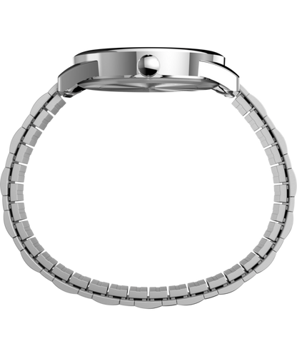 Easy Reader Date 38mm Expansion Band Watch