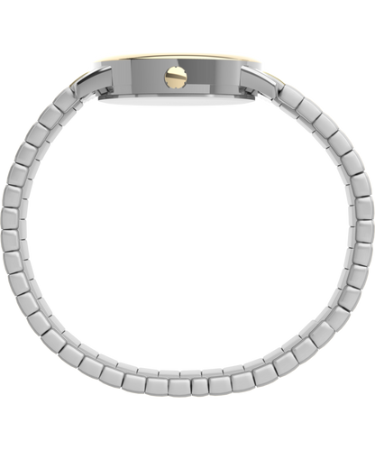Easy Reader 30mm Expansion Band Watch